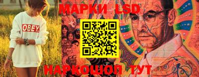 ешки Новодвинск