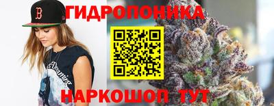 ешки Новодвинск