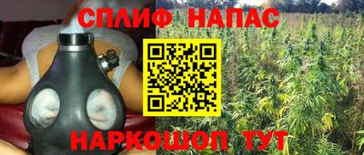 mdma Новозыбков