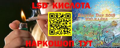 ешки Новодвинск
