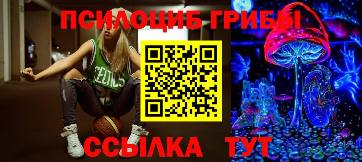 Сафоново  Псилоцибиновые грибы мицелий  Вход с VPN 