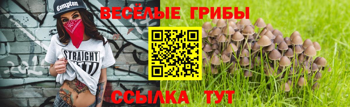 Галлюциногенные грибы Magic Shrooms Сафоново